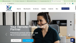 portfolio website project evolve pa
